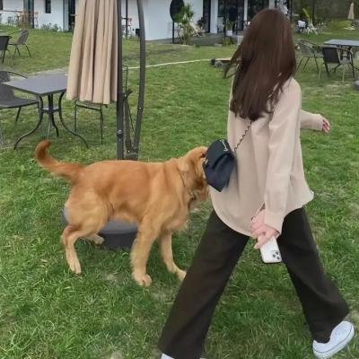 够姜师姐之终极答案