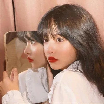 金式森林粤语